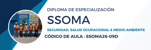 SSOMA26-09D